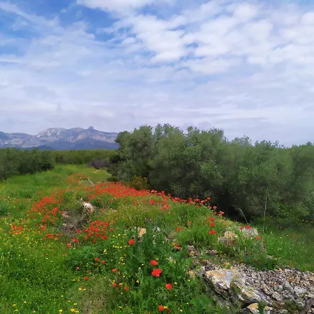 Casa rural Les Olles *